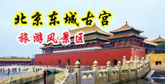 白虎小b中国北京-东城古宫旅游风景区